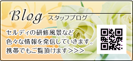 セルディブログ